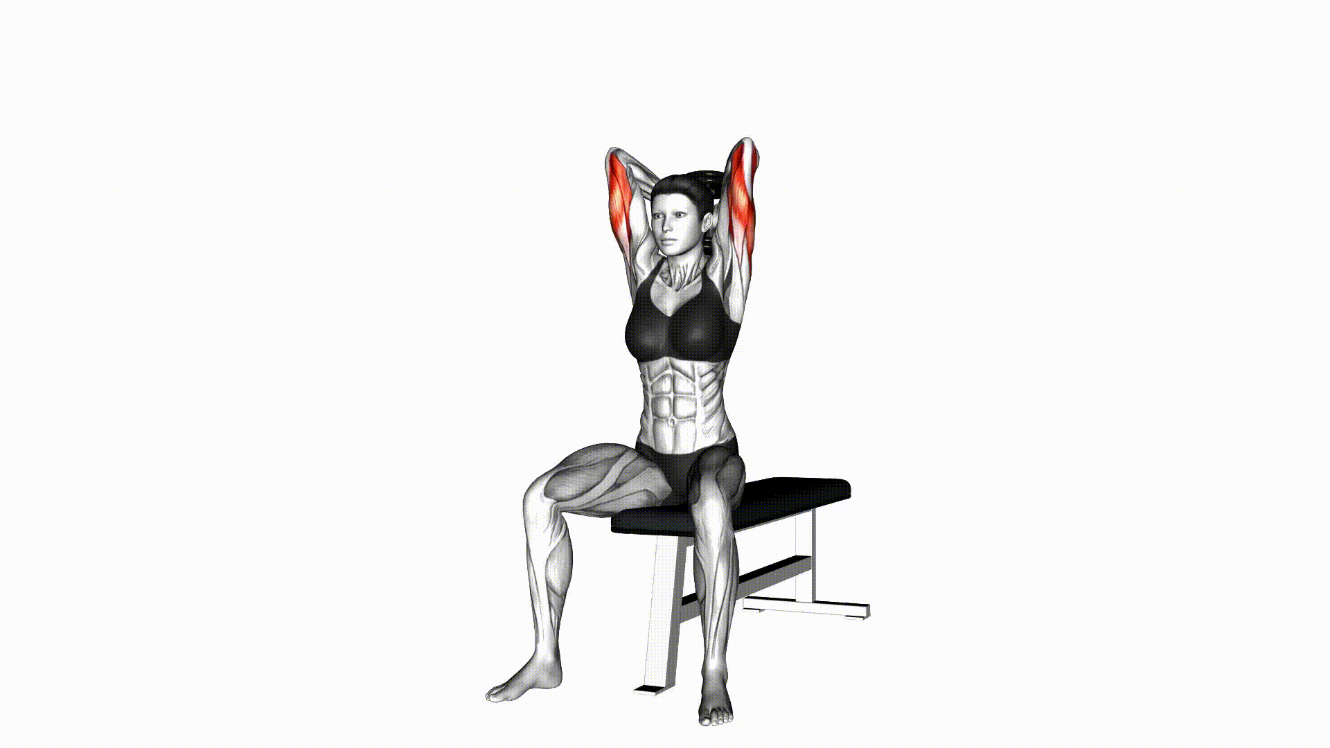 Dumbbell Tricep Extension Dumbbell Tricep Extension
