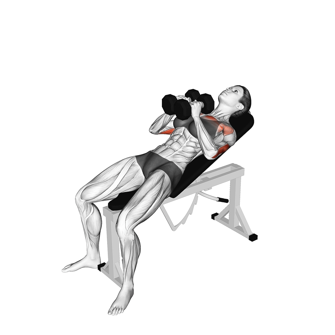 Dumbbell Incline Chest Press Dumbbell Incline Chest Press
