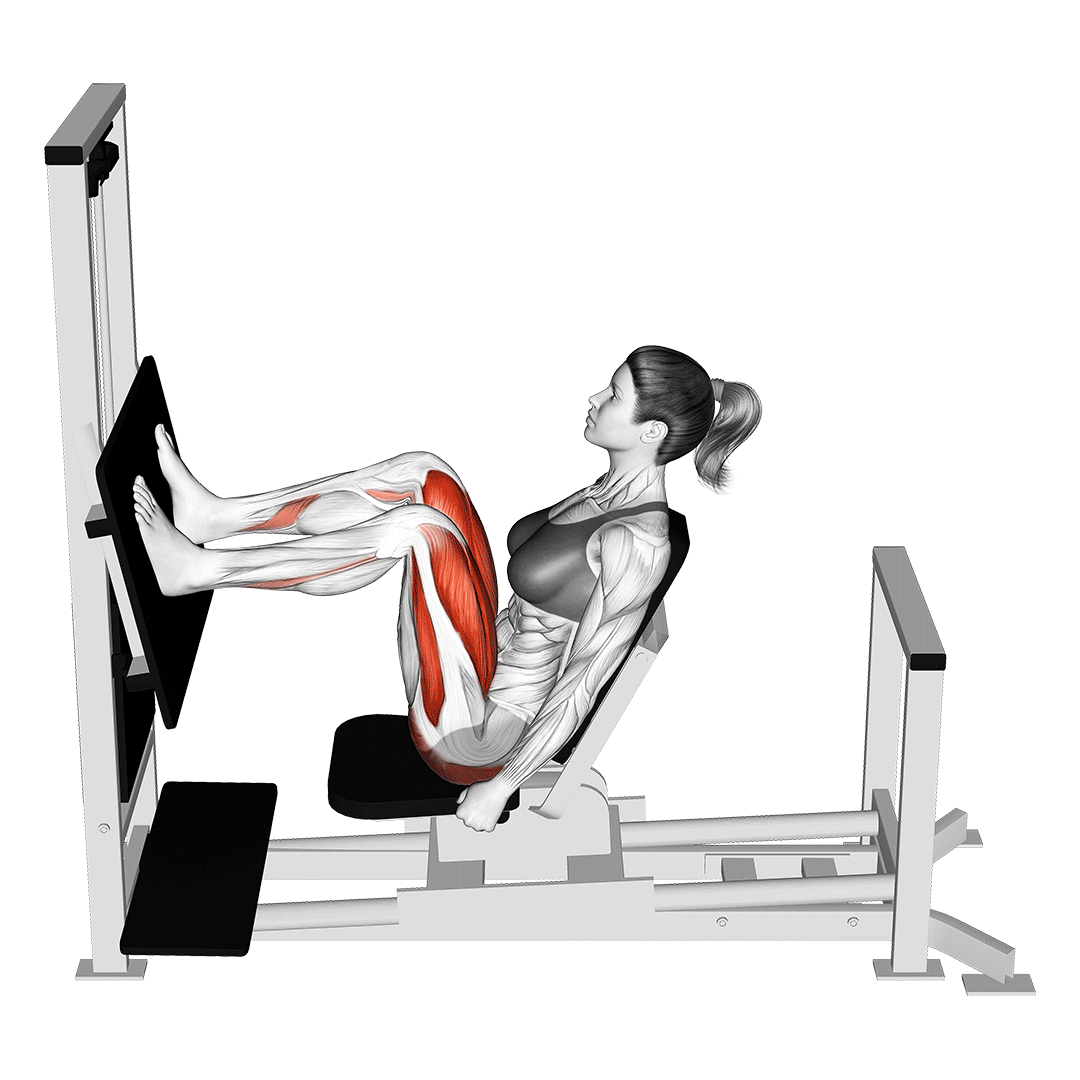 Leg Press Leg Press