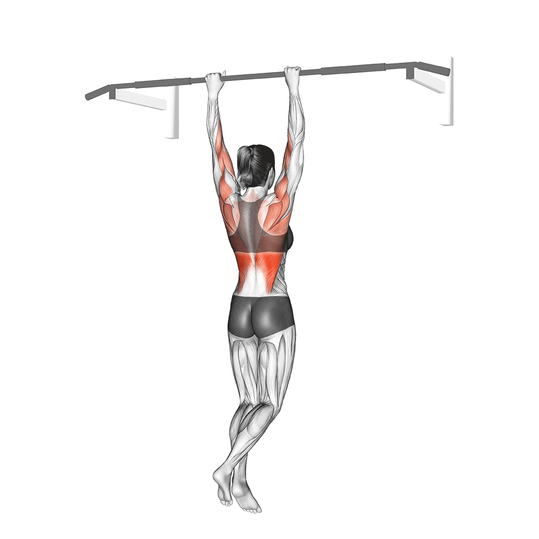Assisted Pull Up Assisted Pull Up