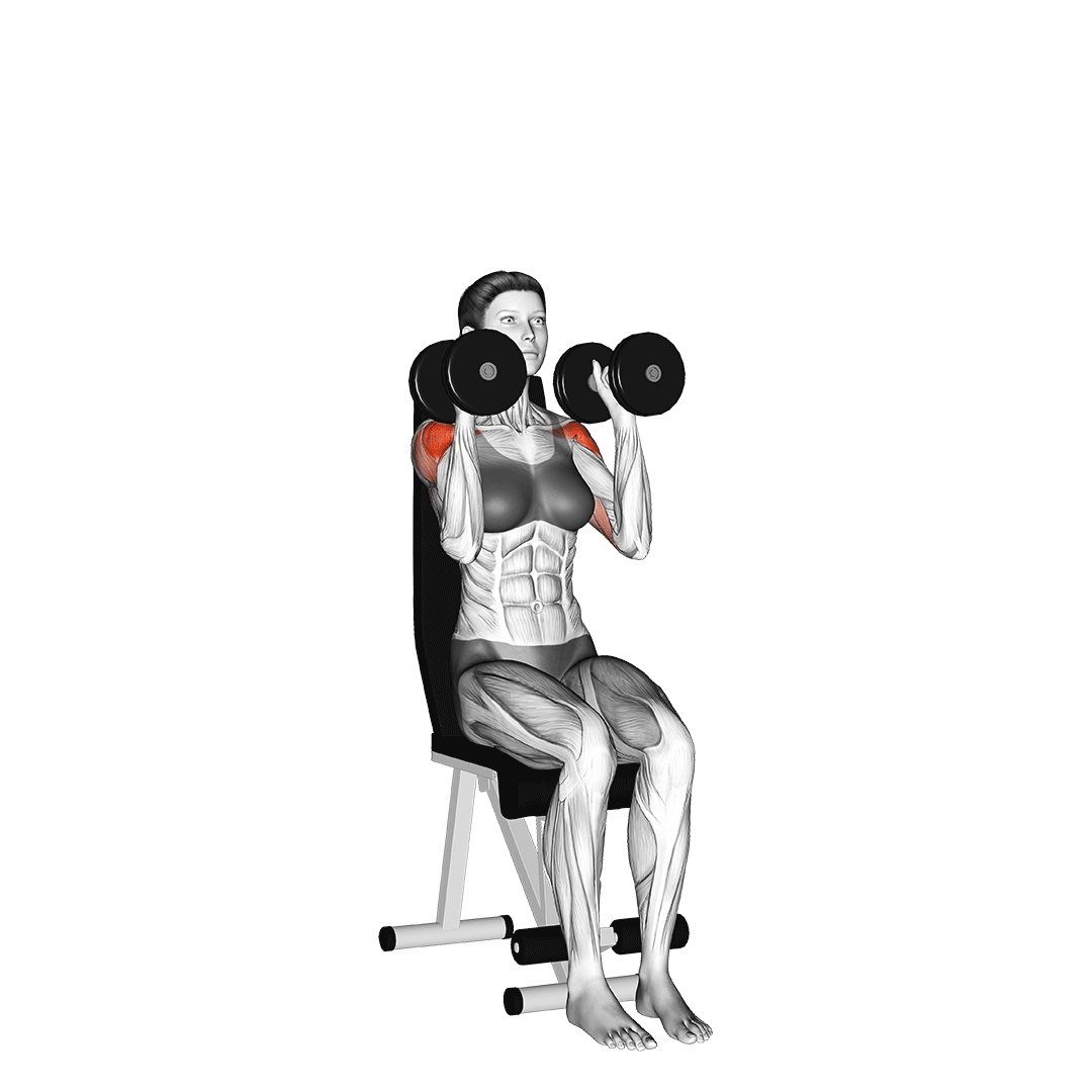 Dumbbell Shoulder Press Dumbbell Shoulder Press
