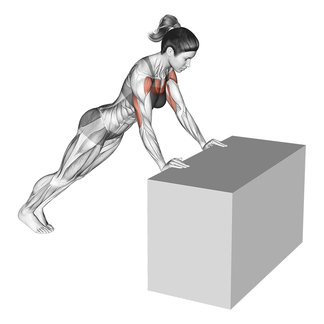 Bar (Box) Push Ups Bar (Box) Push Ups