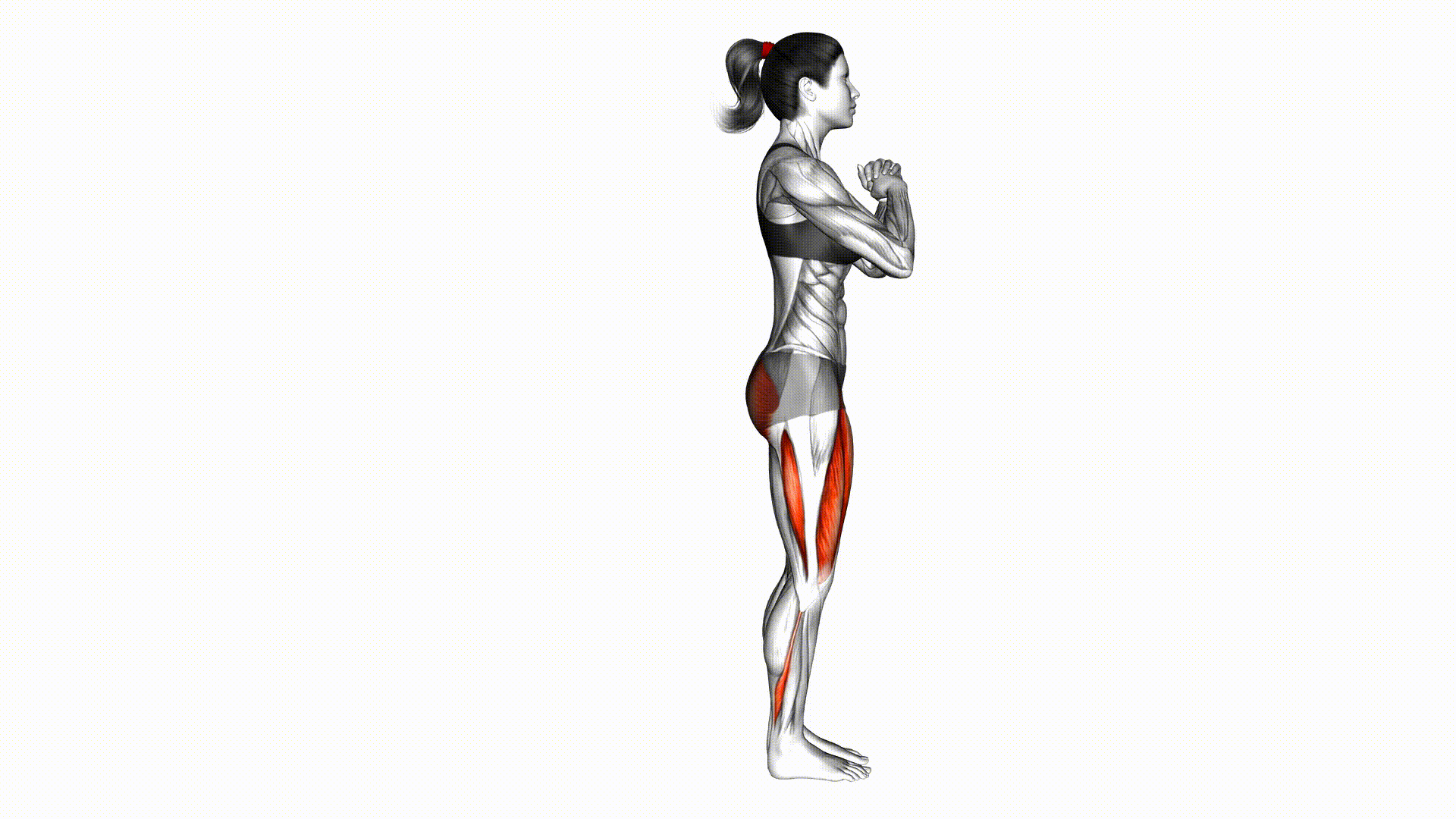 Reverse Lunge Reverse Lunge