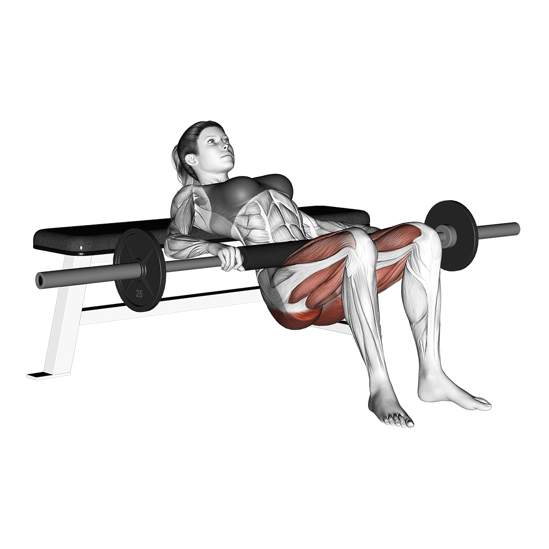 Hip Thrust Hip Thrust
