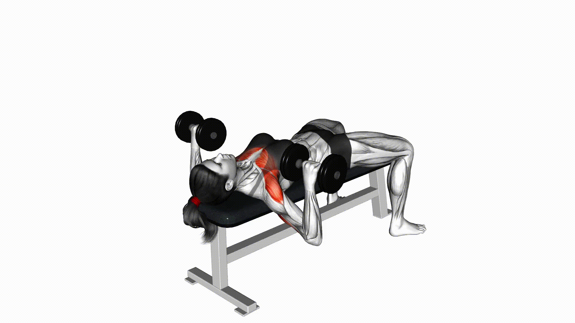 Dumbbell Chest Press Dumbbell Chest Press