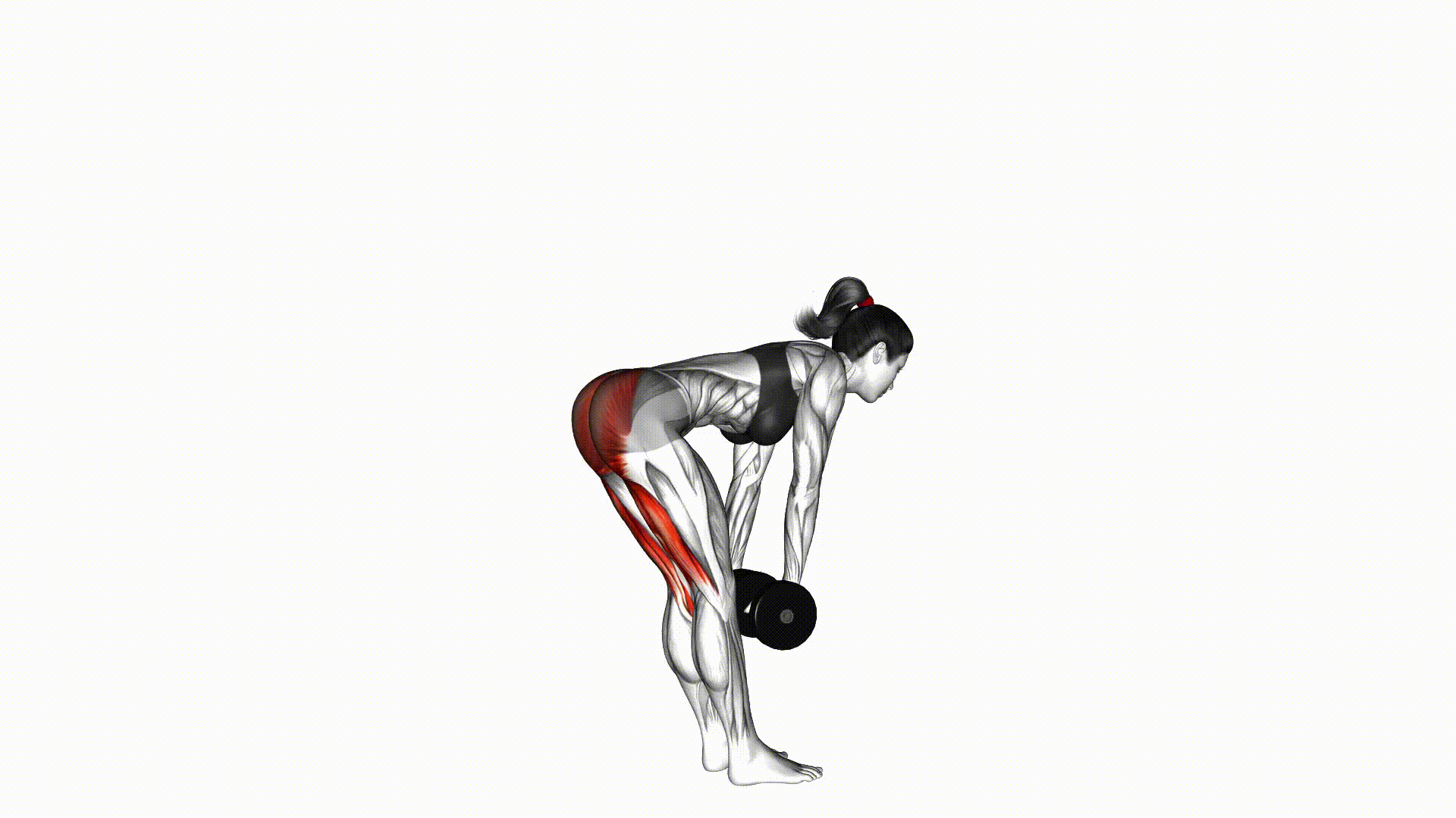 Dumbbell Romanian Deadlift Dumbbell Romanian Deadlift