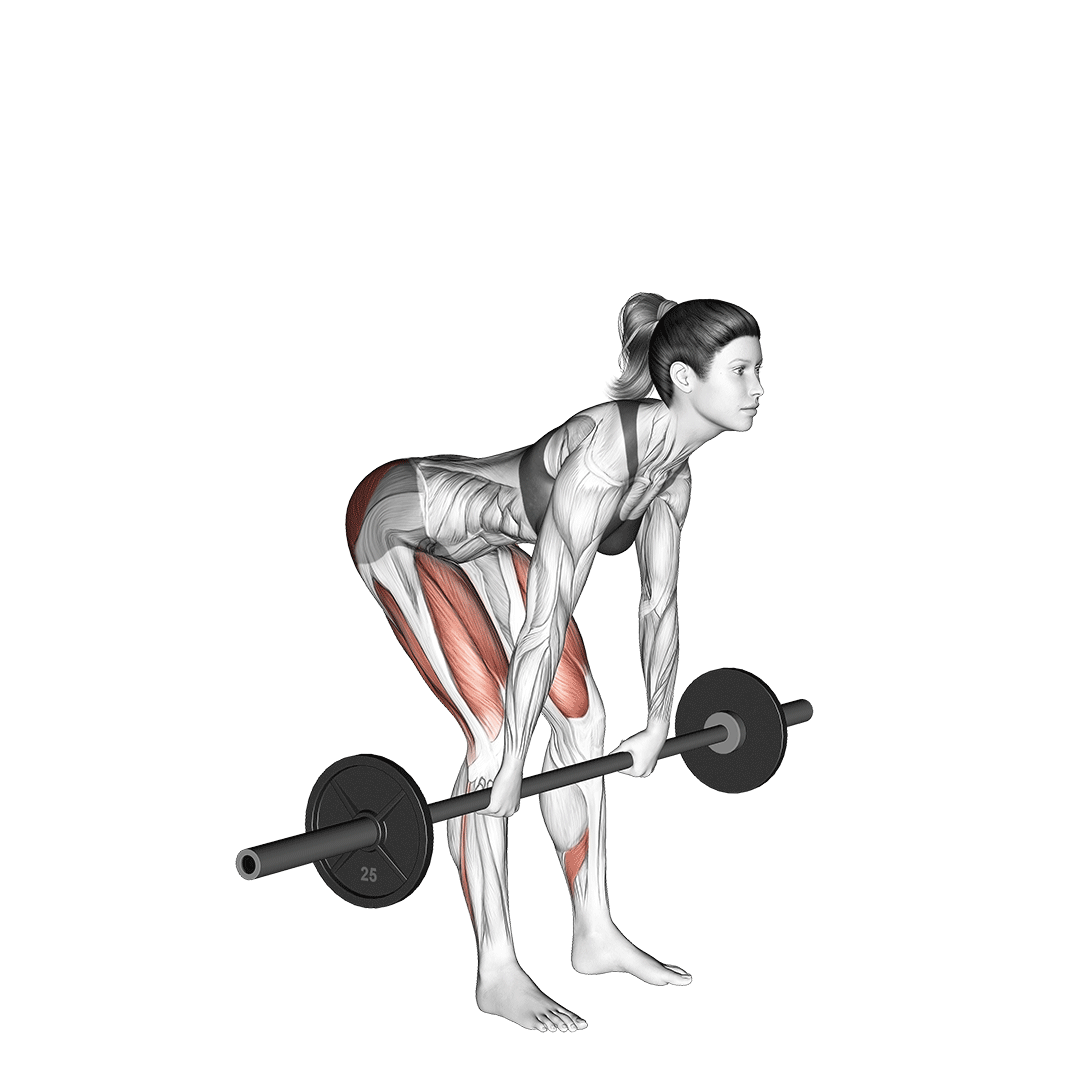 Romanian Deadlift Romanian Deadlift